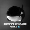🐳CRYPTO WHALES CALL 中国🐳