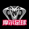 🔥足球蛇货APP软件⚽️大小球初盘系统⚽️初盘角球⚽️滚球让球
