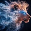 网站搭建/开发APP/资金盘交易所