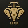 大象曝光|新闻
