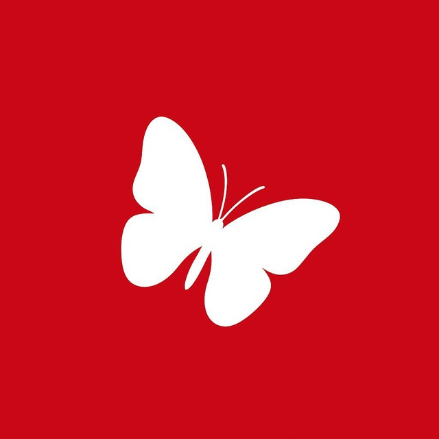 海龙说