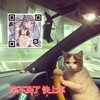 A片群免費觀看ing+AV女優影片圖片分享