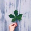 沙特数据