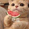 🅥吃瓜群众|国产精选视频
