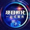 项目孵化 包装推广 白皮书制作 宣传视频 PPT设计 商业计划书 负面删除