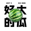 🈲缅甸《 亚太吃瓜铺 🍉 》亚太新闻