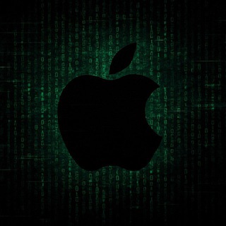 Apple Ai mentorship