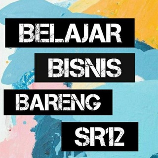 B3SR12 Official