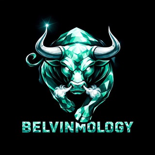 BELVINMOLOGY