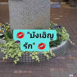 ❤ ''บังเอิญรัก" ❤