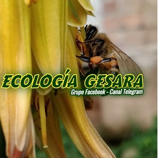 ECOLOGÍA GESARA