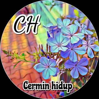 Cerminhidup Channel
