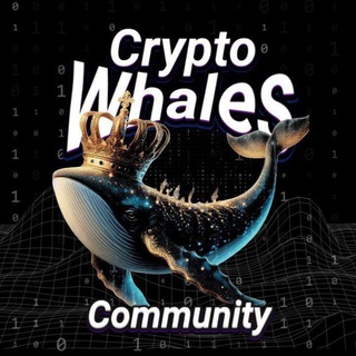 Crypto whales YouTube 🚀🔥