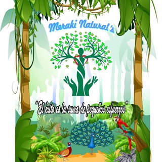 Meraki Natural's