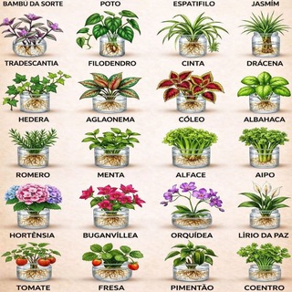 DICAS TOP DE JARDINAGEM