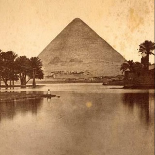 اخبار مصر 🇪🇬