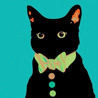 El gato político