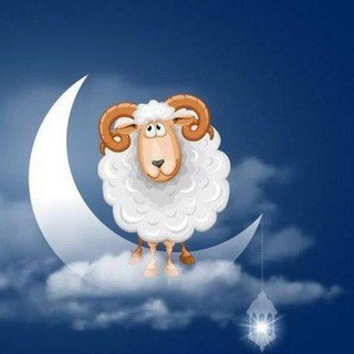 موسم شغل العيد H.N