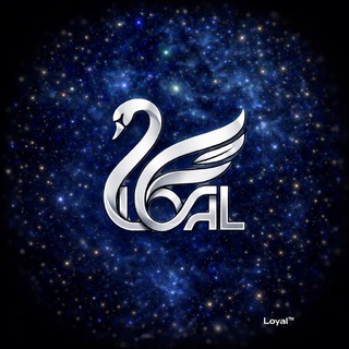 Loyal Life | لویال لایف ⛱️