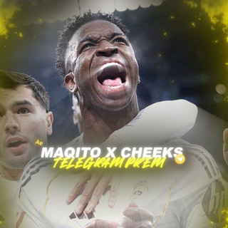 Maqi x Rox x Tondor Satfeed Premium Teasers