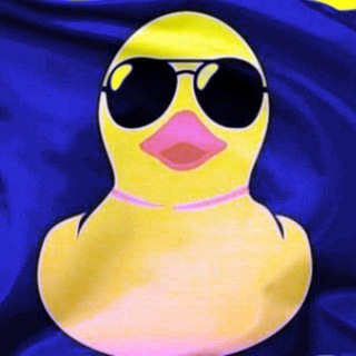 Meu Pato Cursos (Acesso)