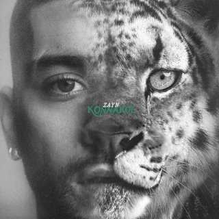 Zayn Malik | The Konnakol Tour