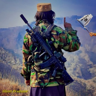 Silent Predator (TTP)