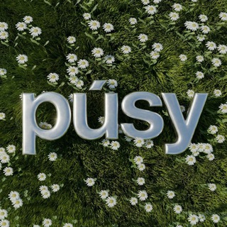 Держи руку на PÚSY