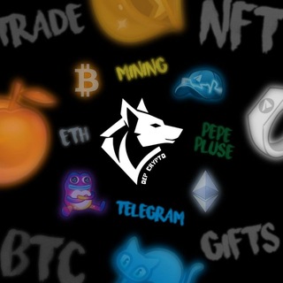 𝗤𝗘𝗣 𝗡𝗘𝗪𝗦