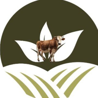 Farm Returns Business Ent.