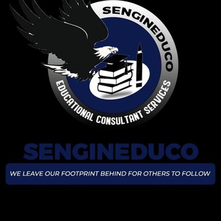 SenGinEduco Educational Consultant. Scholarships & internship channel