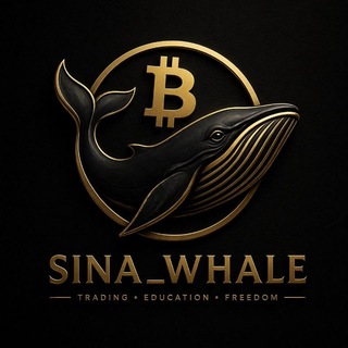 SINA WHALE | SM🩸
