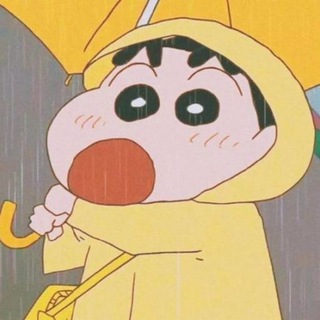짱구 솔루션 공지