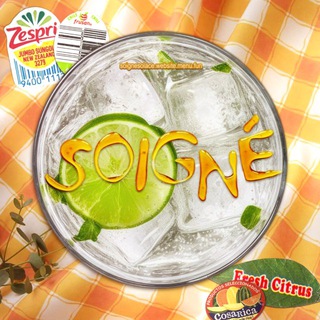 The Tropical Trails: Soigné Famillie