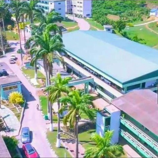 St. John’s Live 💚