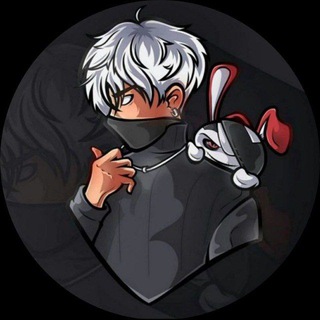 TEAMBLACK BIO 📝