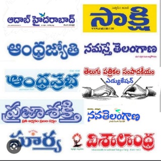 Daily News Paper's