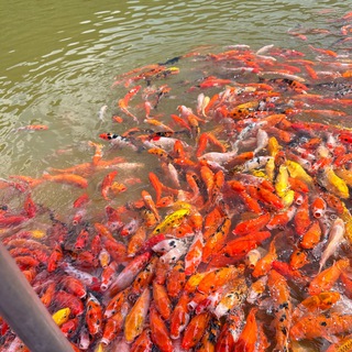Tuyển dụng uy tín