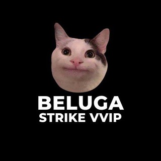 BELUGA STRIKE OFFICIAL VVIP
