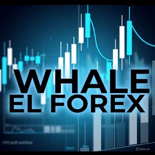 🔥🐋𝐖𝐇𝐀𝐋𝐄 𝐄𝐋𝐅𝐎𝐑𝐄𝐗🐋🔥