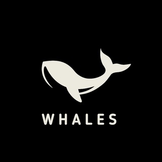 ⚡️WHALES⚡️