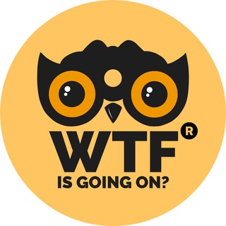 WTF Media®