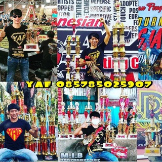 Yaf_Ponorogo_Channel 085785025907