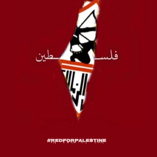 اهداف الزمالك